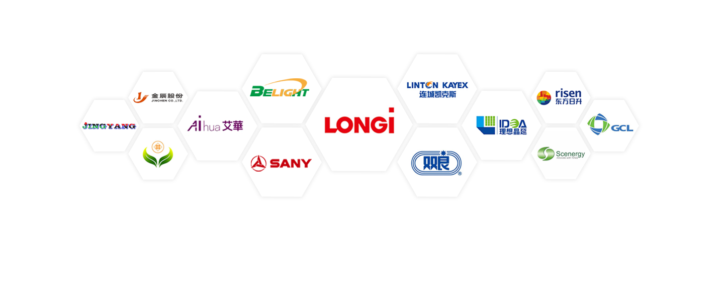 Company Profile